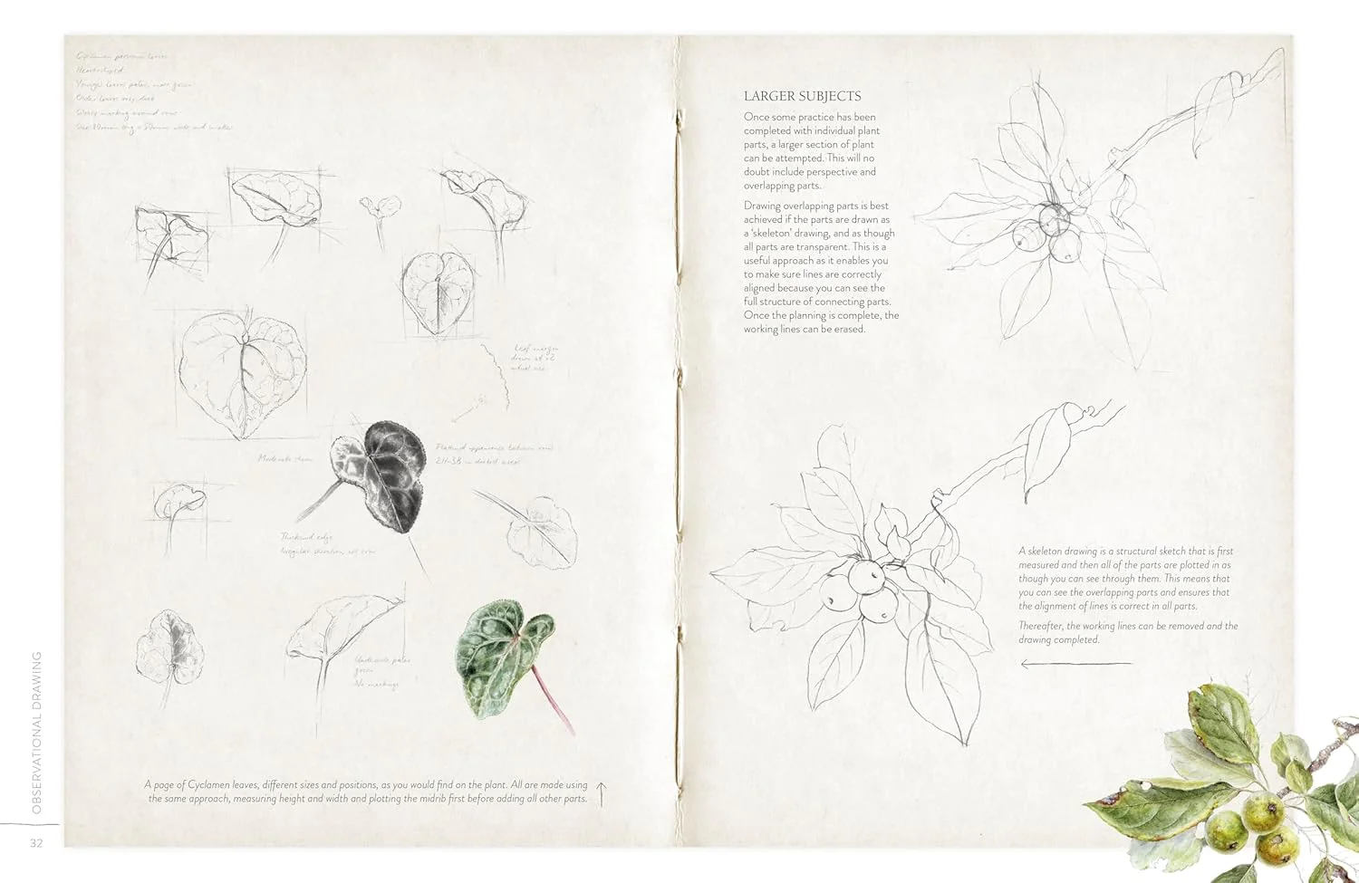 SKETCHING NATURE - Image 2