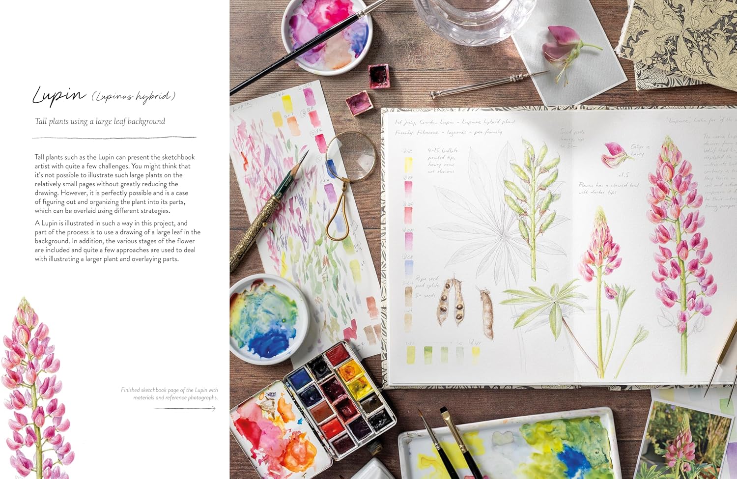 SKETCHING NATURE - Image 3