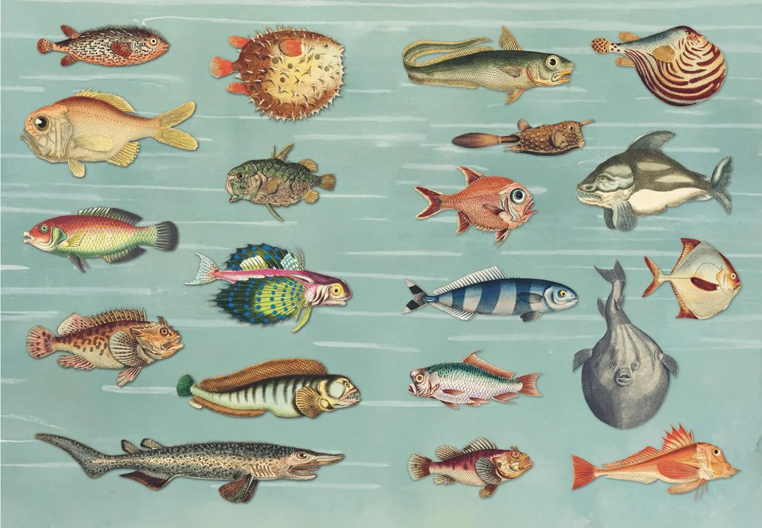 THE CURIOUS COLLECTIBLES STICKER BOOK - Image 4