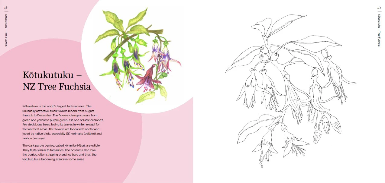 THE NZ NATIVE FLOWER COLOURING BOOK - Image 2