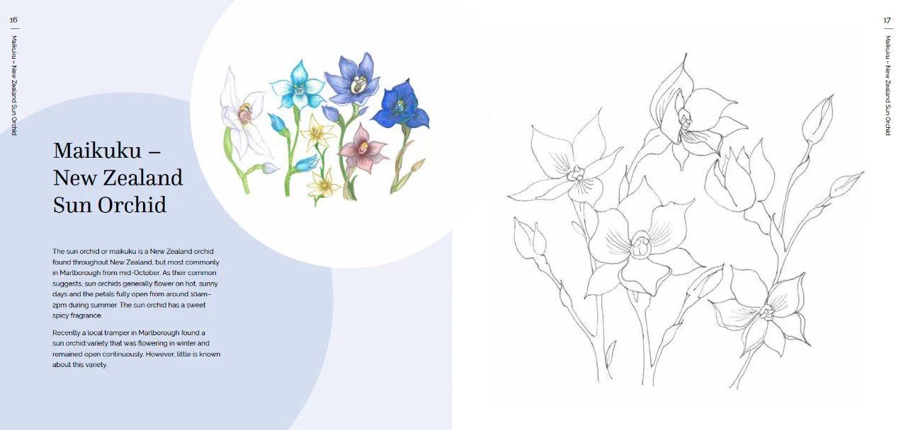 THE NZ NATIVE FLOWER COLOURING BOOK - Image 3