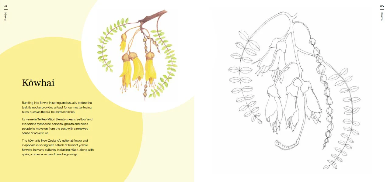 THE NZ NATIVE FLOWER COLOURING BOOK - Image 4