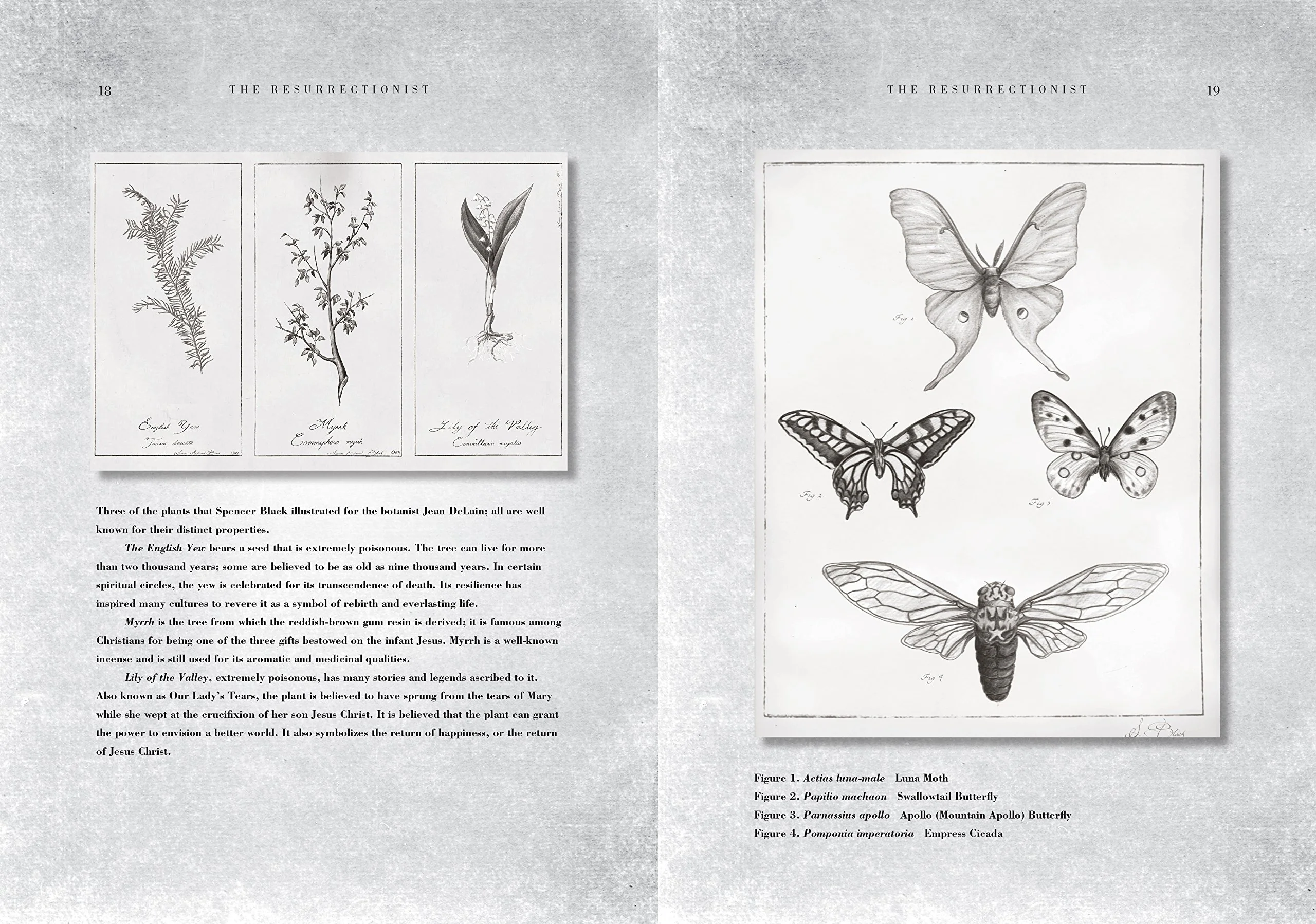 THE RESURRECTIONIST : THE LOST WORK OF DR. SPENCER - Image 2
