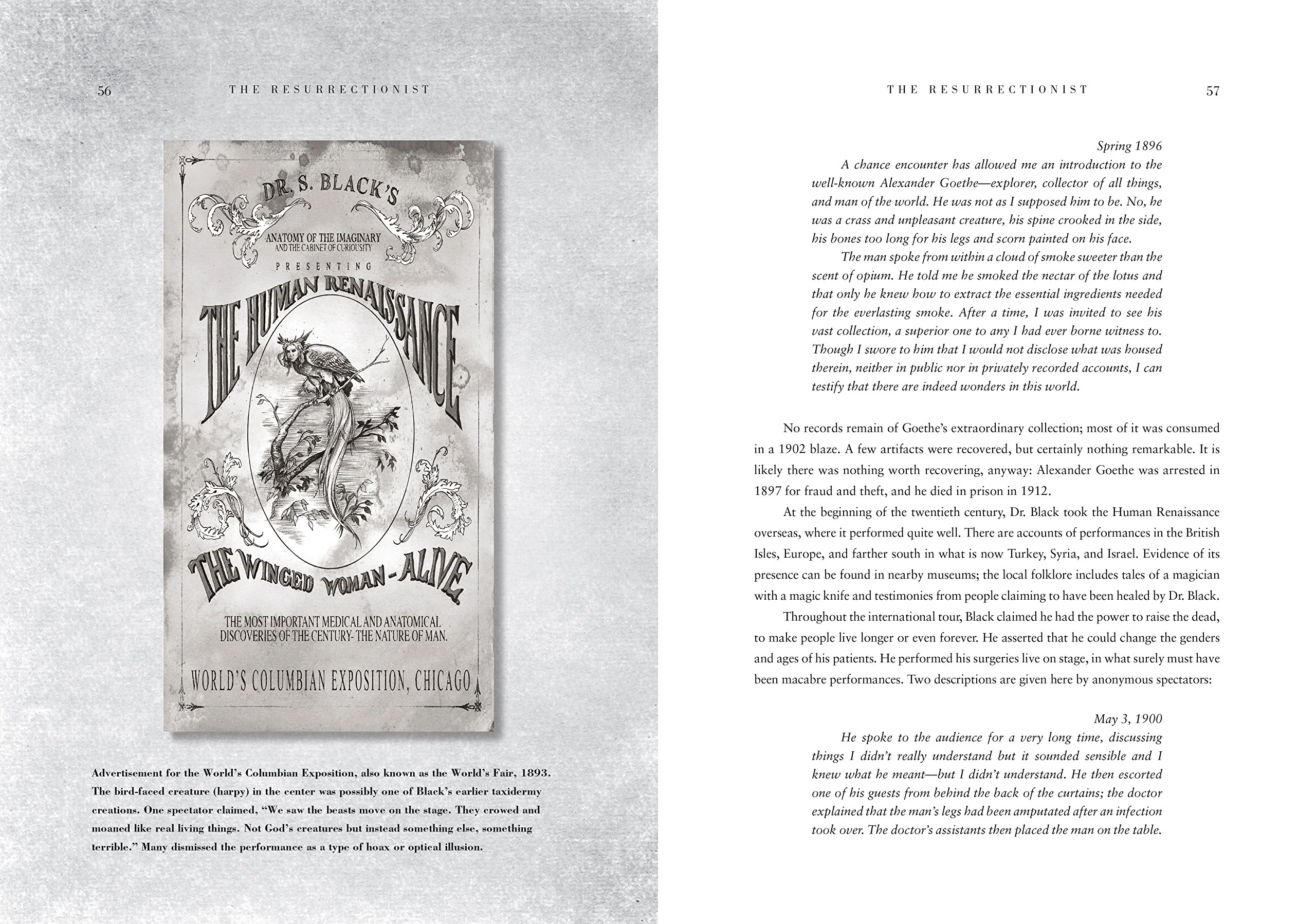 THE RESURRECTIONIST : THE LOST WORK OF DR. SPENCER - Image 4