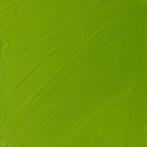 Winsor & Newton Artists Oil Paint Cadmium Green Pale S4 - Image 2