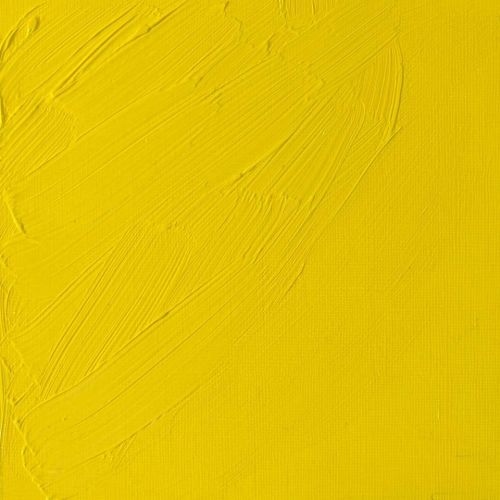 Winsor & Newton Artists Oil Paint Cadmium Lemon S4 - Image 2