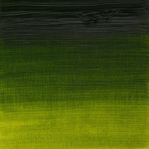 Winsor & Newton Artists Oil Paint Sap Green S2 - Image 3