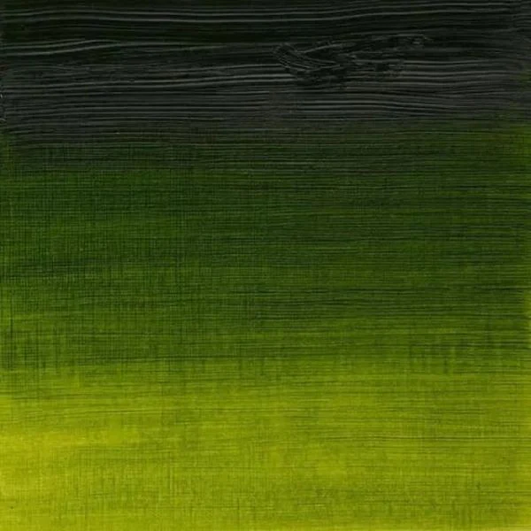 Winsor & Newton Artists Oil Paint Sap Green S2 - Image 4