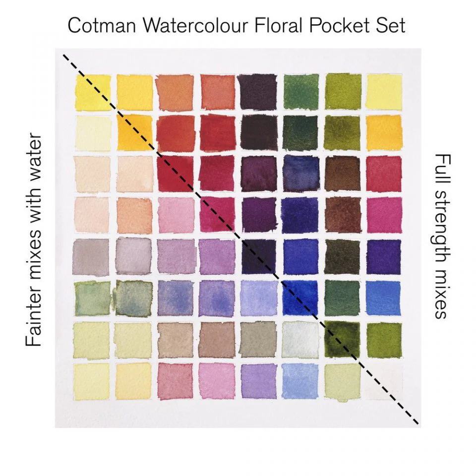 Winsor & Newton Cotman Watercolour Paint Floral Pocket 1/2 Pan Set 9 - Image 10