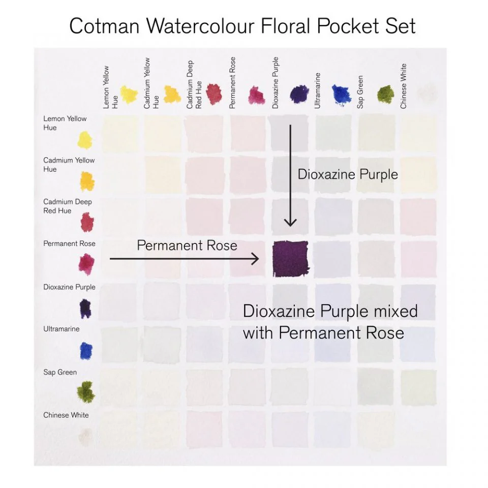 Winsor & Newton Cotman Watercolour Paint Floral Pocket 1/2 Pan Set 9 - Image 8