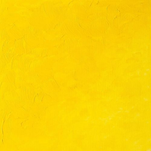 Winsor & Newton Griffin Alkyd Fast Drying Oil Paint Cadmium Yellow Light Hue S1 - Image 2