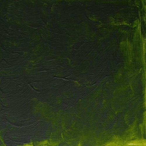 Winsor & Newton Griffin Alkyd Fast Drying Oil Paint Permanent Sap Green S2 - Image 2